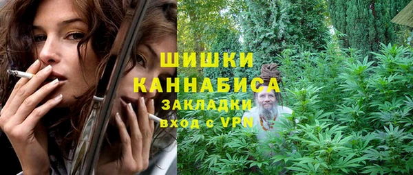 спайс Арсеньев